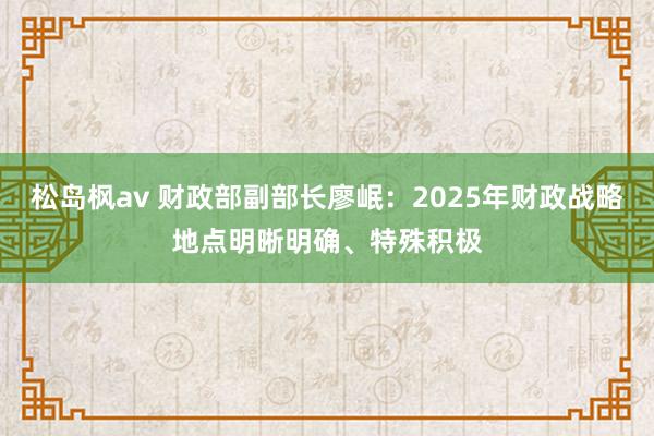 松岛枫av 财政部副部长廖岷：2025年财政战略地点明晰明确、特殊积极