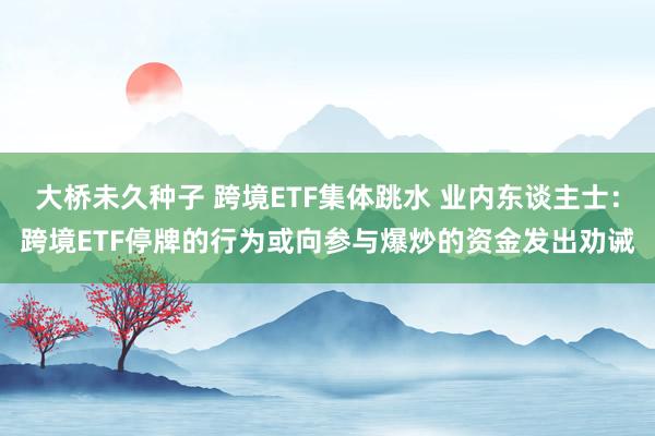 大桥未久种子 跨境ETF集体跳水 业内东谈主士：跨境ETF停牌的行为或向参与爆炒的资金发出劝诫