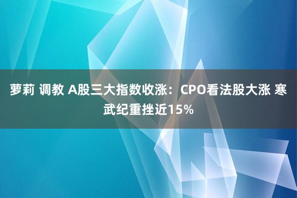 萝莉 调教 A股三大指数收涨：CPO看法股大涨 寒武纪重挫近15%